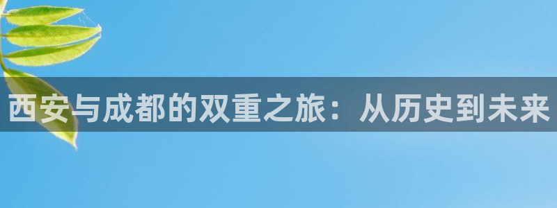 “海角社区最新登录入口：西安与成都的双重之